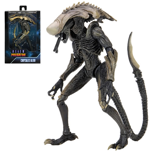 Alien Vs Predator – 7″ Scale Action Figure – Alien Assortment (Movie Deco)  –