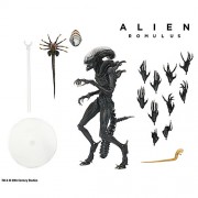 Alien: Romulus 7" Scale Figures - Ultimate Scorched Xenomorph