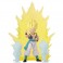 Dragon Stars Figures - Dragon Ball Super - 6.5" Scale Power Up Pack Assortment #37135L