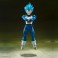 S.H.Figuarts Figures - Dragon Ball Super - Super Saiyan God Super Saiyan Vegeta (USP)