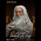 Dynamic 8-ction Heroes Figures - The Lord Of The Rings - DAH-106P Gandalf The Grey