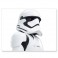 Automotive Graphics - Star Wars - First Order Stormtrooper Passenger Series Window Decal