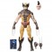 Marvel Legends 6" Figures - Mini Comic Series - Daken - 5L00