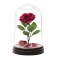 Lights & Lamps - Disney - Beauty And The Beast - Enchanted Rose Light V3