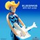 ReAction Figures - Silverhawks - W01 - Bluegrass (Toy Version)