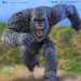 Exquisite Basic Series Figures - Godzilla x Kong: The New Empire (2024 Movie) - Kong