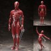 Figma Figures - Human Anatomical Model