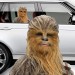 Automotive Graphics - Star Wars - Ep VIII The Last Jedi - Chewbacca Passenger Series Window Decal