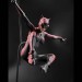 DC Designer Series Statues - 1/6 Scale Catwoman by Jock (Resin)