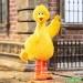 ReAction Figures - Sesame Street - W03 - Big Bird