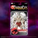 S7 DX Deluxe Figures - ThunderCats - W01 - Monkian