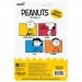 ReAction Figures - Peanuts - W07 - Charlie Brown